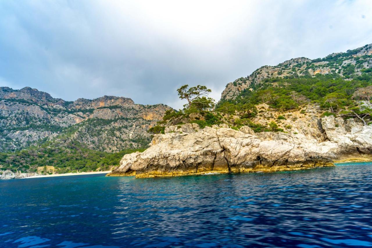 Bed and Breakfast Manzara Bungalow Fethiye Zewnętrze zdjęcie
